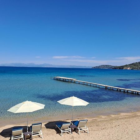 Seaside Studios Μεσογγή Εξωτερικό φωτογραφία